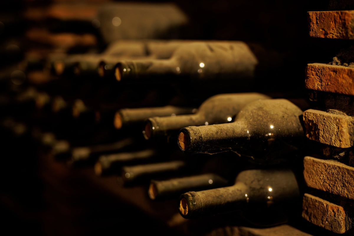 A single wine bottle kept as a quiet keepsake, standing on a shelf